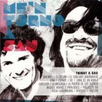 Me'n torno a Sau : tribut a Sau (Sau (Grup musical))