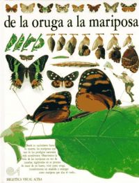 De la oruga a la mariposa
