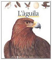 L'Àguila