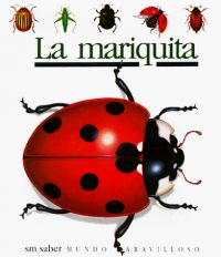 La Mariquita