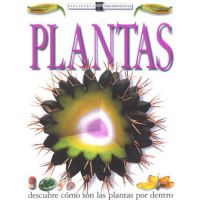 Plantas