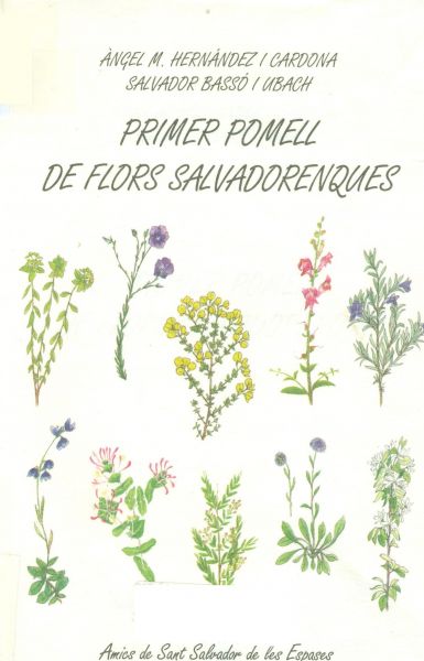  Primer pomell de flors salvadorenques