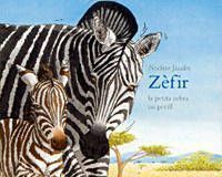 Zèfir : la petita zebra en perill