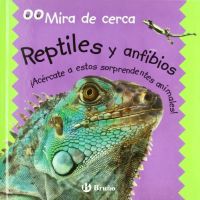Reptiles y anfibios