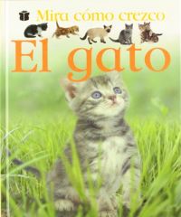 El Gato