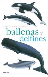 Ballenas y delfines : fauna