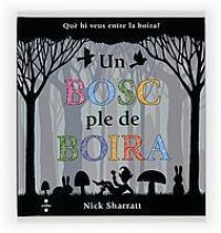Un Bosc ple de boira : què hi veus entre la boira?