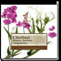 L'Herbari : mates, herbes i falgueres : guia d'identificació]