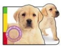 En Gosset i els seus amics