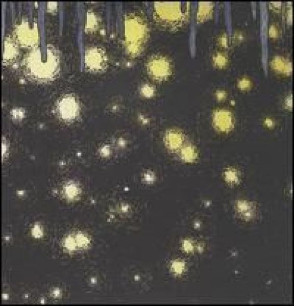 Imatge recomanacio de Wavering radiant