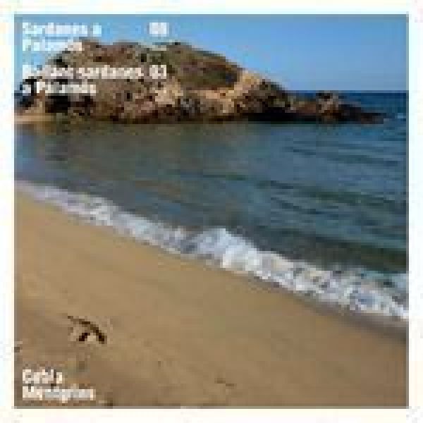  Sardanes a Palamós (vol. 08)