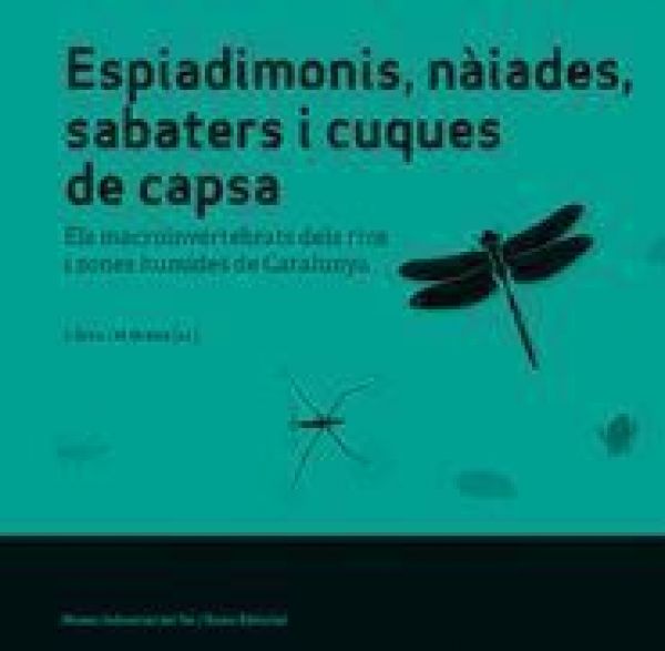  Espiadimonis, nàiades, sabaters i cuques de capsa :