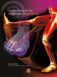 La Anatomía de las lesiones deportivas