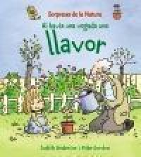 Hi havia una vegada una llavor