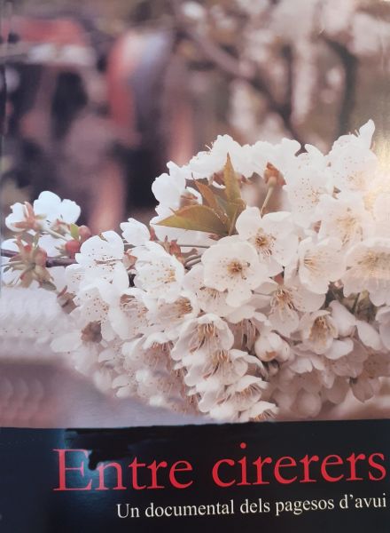  Entre cirerers : Torrelles de Llobregat, juny 2010