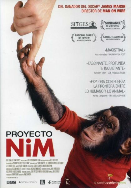  Proyecto NiM