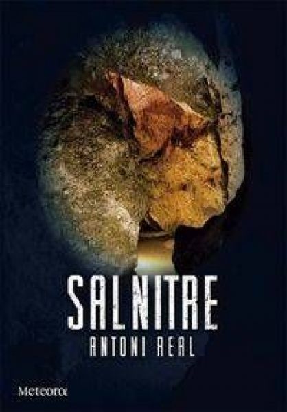  Salnitre