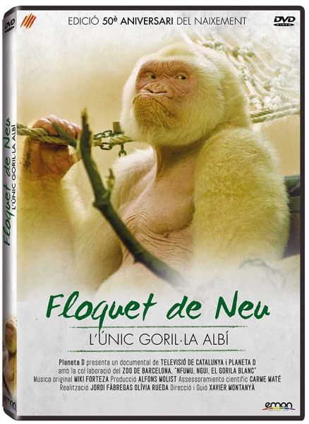  Floquet de Neu :