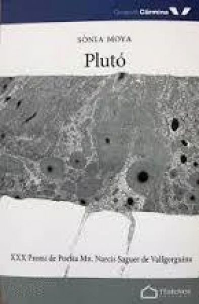  Plutó