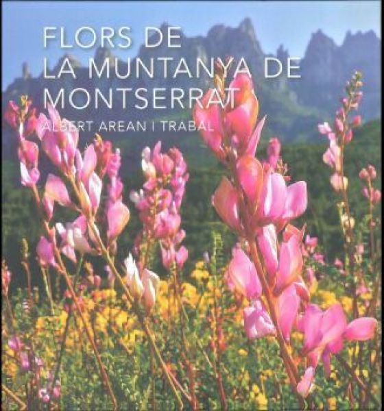  Flors de la muntanya de Montserrat