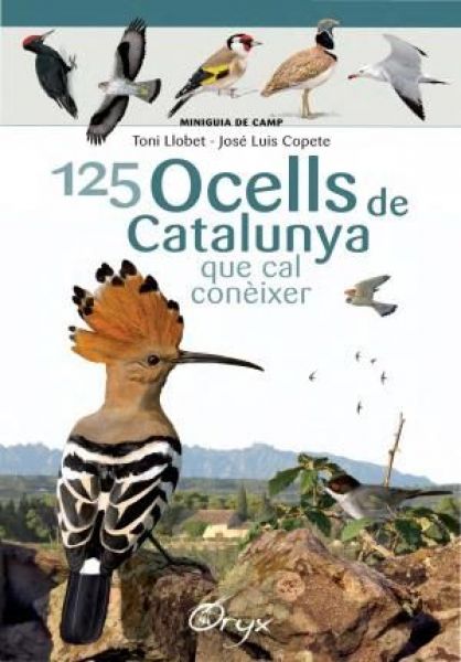  125 ocells de Catalunya que cal conèixer