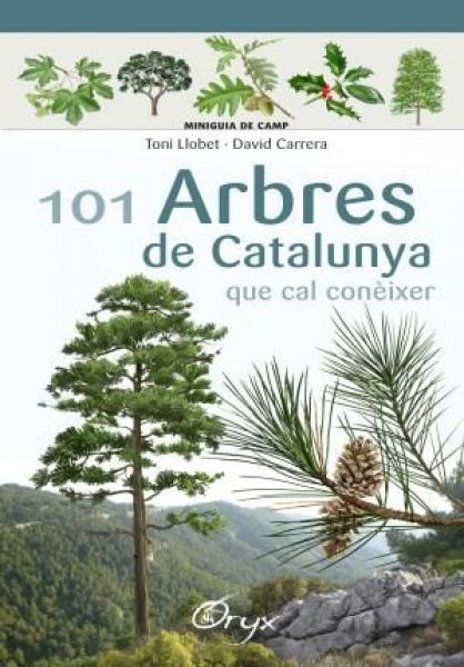  101 arbres de Catalunya que cal conèixer