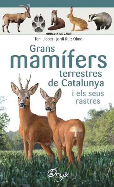  Grans mamífers terrestres de Catalunya i els seus rastres