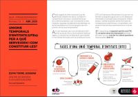 Unions temporals d'entitats (UTEs)