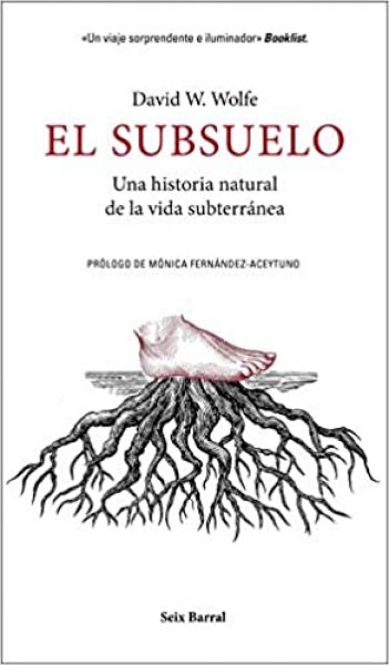  El Subsuelo :
