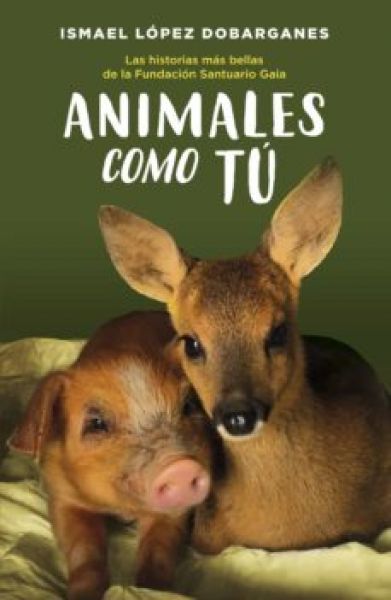  Animales como tú: las historias más bellas de la Fundación Santuario Gaia