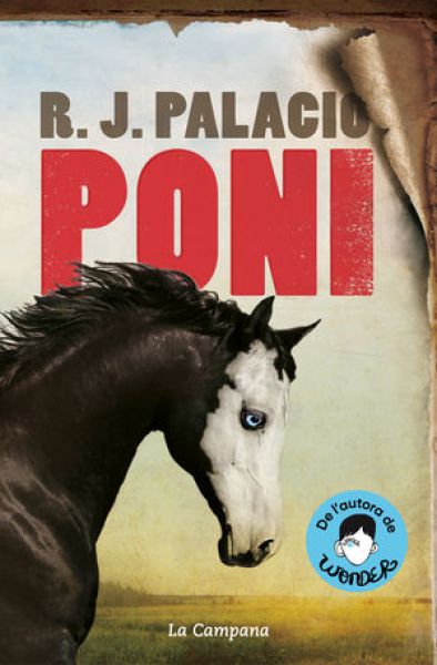  Poni