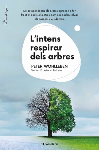  L'Intens respirar dels arbres: de quina manera els arbres aprenen a fer front el canvi climàtic i com ens poden salvar els boscos, si els deixem