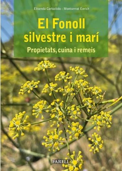  El Fonoll silvestre i marí: propietats, cuina i remeis