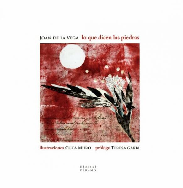  Lo que dicen las piedras