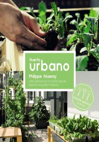  Huerto urbano: cómo conseguir que tus plantas crezcan robustas en balcones y terrazas