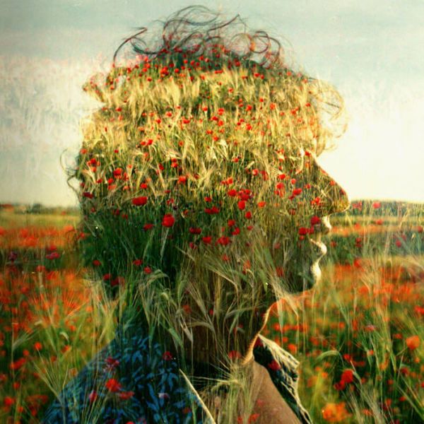 Imatge recomanacio de Quart creixent